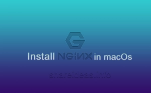 How to install Nginx in your Mac with brew