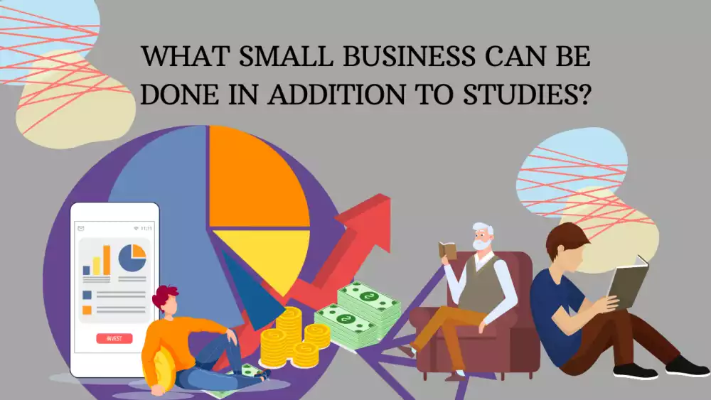 What small business can be done in addition to studies posts